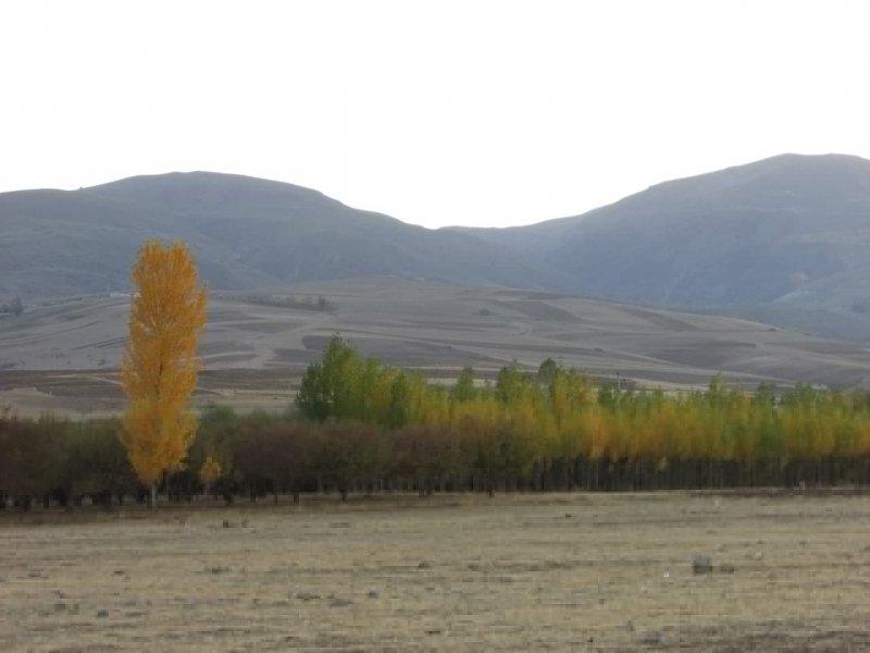 meshkin shahr .... Autumn